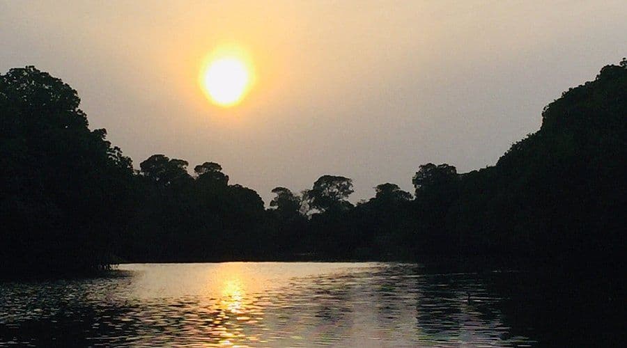 Pottuvil Lagoon Safari: The Mangrove Maze