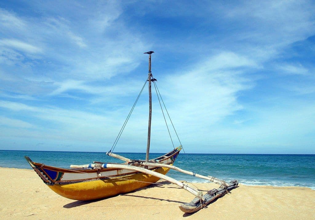 Pottuvil Lagoon Safari: The Silent Wildlife Adventure You Can't Miss