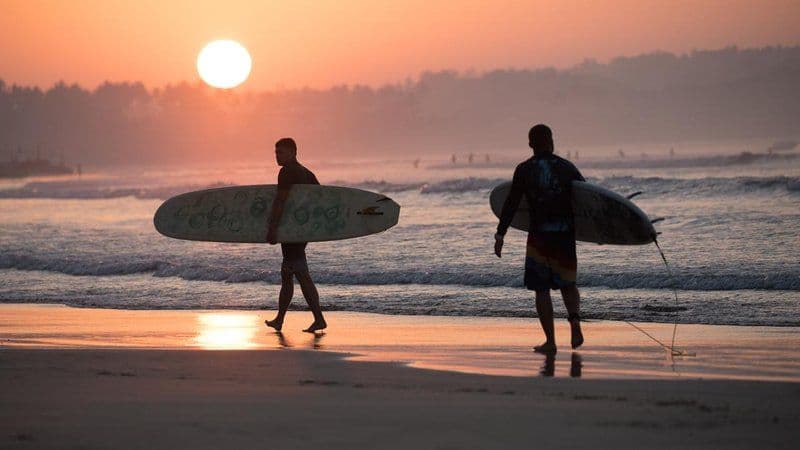 Whiskey Point: The Surfer's Sunrise