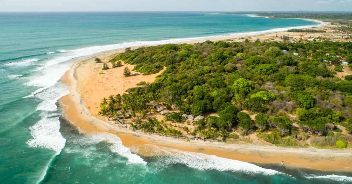 The Ultimate Arugam Bay Surf Guide: From Beginner Foamies to Pro Barrels